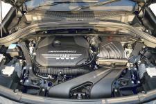 IMG_1428 (2)-thumb-225x150-273011.jpg